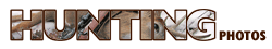 Hunting photos
